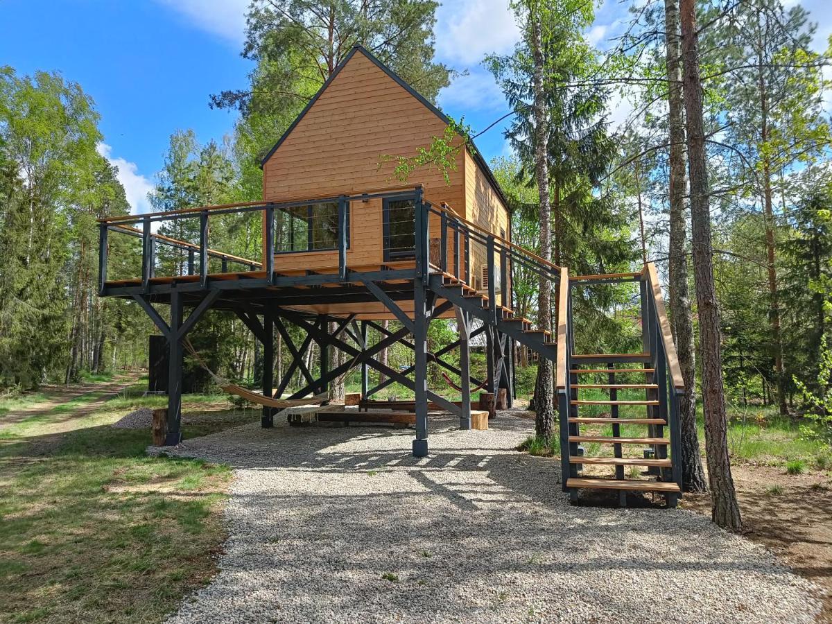 Zdalnie Z Lasu - Siedlisko W Puszczy Bialowieskiej Narewka Экстерьер фото