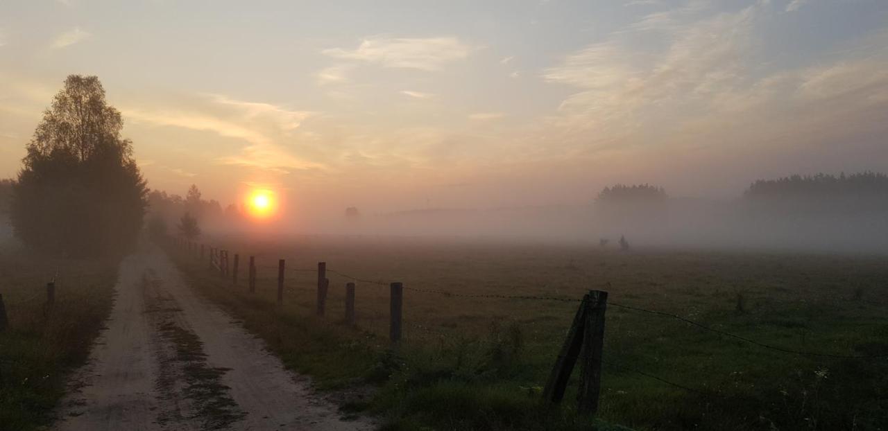 Zdalnie Z Lasu - Siedlisko W Puszczy Bialowieskiej Narewka Экстерьер фото