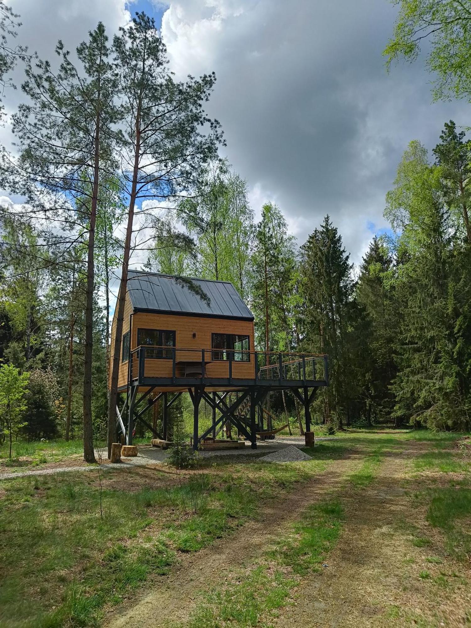 Zdalnie Z Lasu - Siedlisko W Puszczy Bialowieskiej Narewka Экстерьер фото