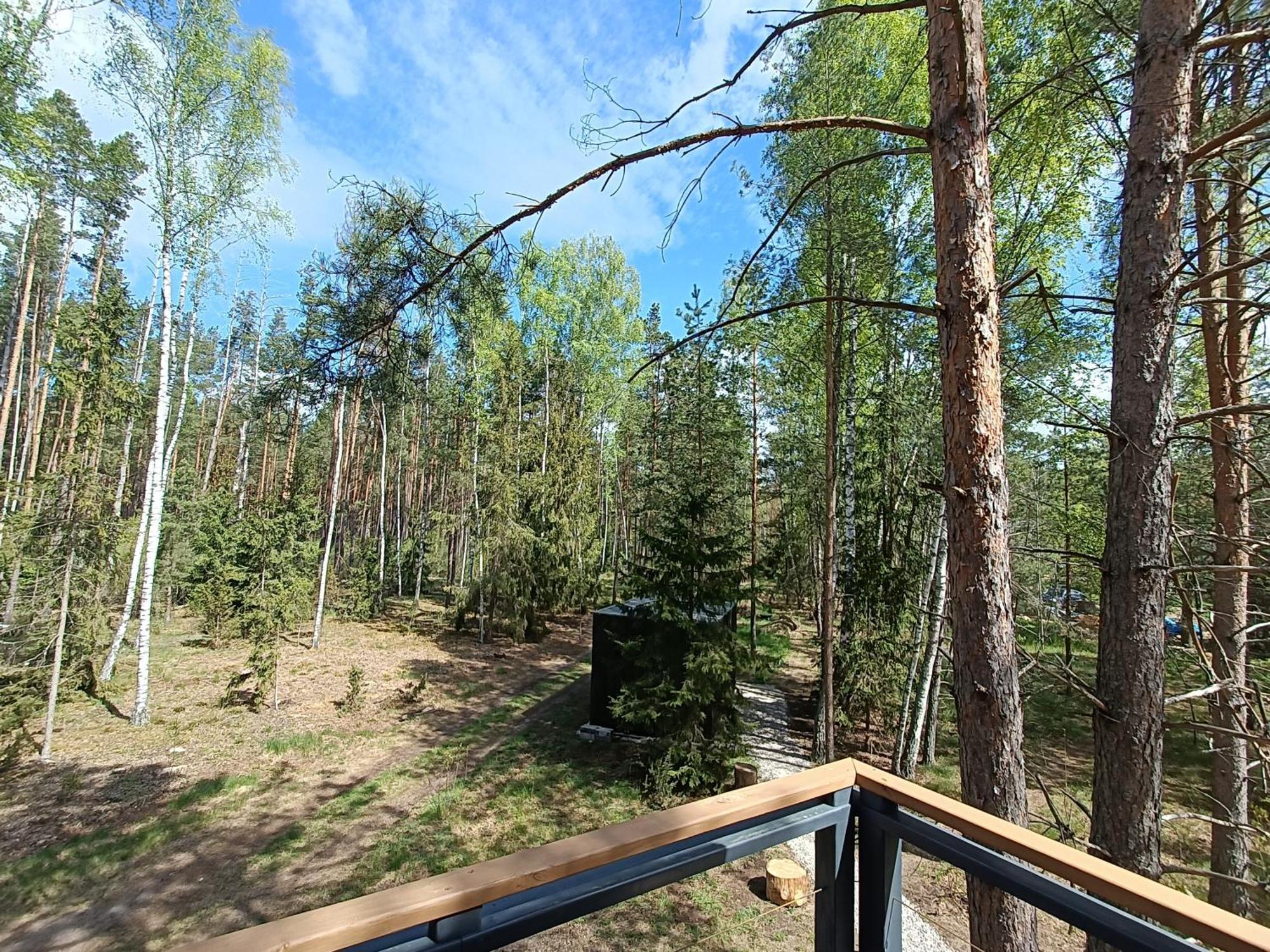 Zdalnie Z Lasu - Siedlisko W Puszczy Bialowieskiej Narewka Экстерьер фото