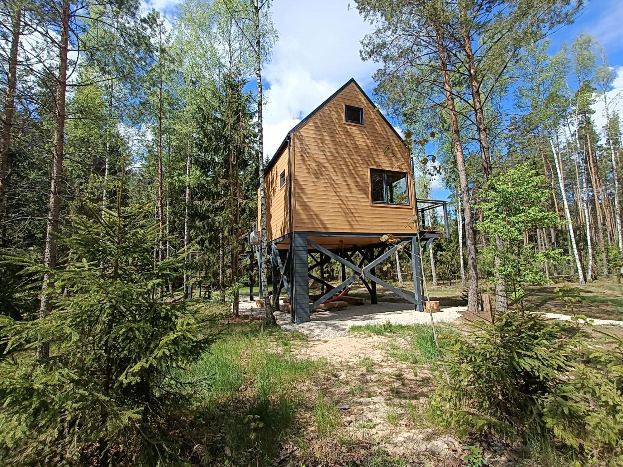 Zdalnie Z Lasu - Siedlisko W Puszczy Bialowieskiej Narewka Экстерьер фото