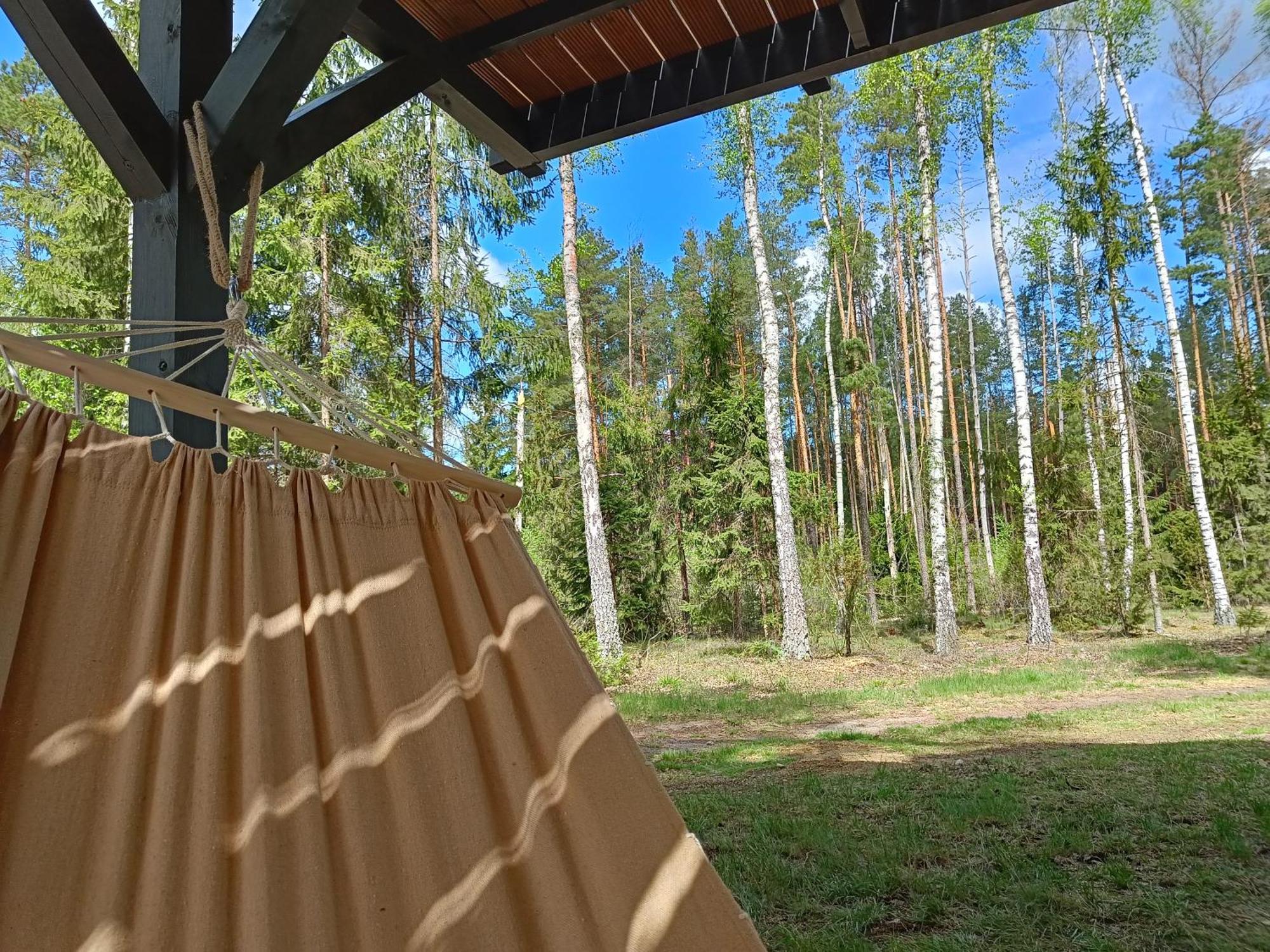 Zdalnie Z Lasu - Siedlisko W Puszczy Bialowieskiej Narewka Экстерьер фото